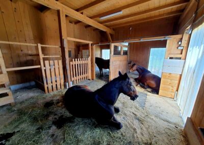 === ENGLISH KEYWORDS === Equine-assisted therapy Horse therapy for disabilities Hypnotherapy with horses Therapeutic horse riding Equine therapy for special needs Equine therapy for mental health Equine-assisted therapy near me Horse therapy for anxiety and depression Benefits of horse therapy Benefits of hypnotherapy with horses Equine-assisted therapy for autism Equine-assisted therapy for PTSD Hippotherapy sessions Horse-assisted interventions Equine therapy success stories Alternative therapy for mental health Therapeutic horsemanship === SLOVENIAN KEYWORDS === Terapija s pomočjo konj Terapija s konji za invalidne osebe Hipnoterapija s konji Terapevtsko jahanje Terapija s konji za osebe s posebnimi potrebami Terapija s konji za duševno zdravje Terapija s konji v moji bližini Terapija s konji za tesnobo in depresijo Prednosti terapije s konji Prednosti hipnoterapije s konji Terapija s konji za avtizem Terapija s konji za PTSD (posttravmatsko stresno motnjo) Hipoterapija Intervencije s pomočjo konj Zgodbe o uspehu terapije s konji Alternativna terapija za duševno zdravje Terapevtsko delo s konji