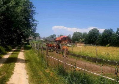 === ENGLISH KEYWORDS === Equine-assisted therapy Horse therapy for disabilities Hypnotherapy with horses Therapeutic horse riding Equine therapy for special needs Equine therapy for mental health Equine-assisted therapy near me Horse therapy for anxiety and depression Benefits of horse therapy Benefits of hypnotherapy with horses Equine-assisted therapy for autism Equine-assisted therapy for PTSD Hippotherapy sessions Horse-assisted interventions Equine therapy success stories Alternative therapy for mental health Therapeutic horsemanship === SLOVENIAN KEYWORDS === Terapija s pomočjo konj Terapija s konji za invalidne osebe Hipnoterapija s konji Terapevtsko jahanje Terapija s konji za osebe s posebnimi potrebami Terapija s konji za duševno zdravje Terapija s konji v moji bližini Terapija s konji za tesnobo in depresijo Prednosti terapije s konji Prednosti hipnoterapije s konji Terapija s konji za avtizem Terapija s konji za PTSD (posttravmatsko stresno motnjo) Hipoterapija Intervencije s pomočjo konj Zgodbe o uspehu terapije s konji Alternativna terapija za duševno zdravje Terapevtsko delo s konji